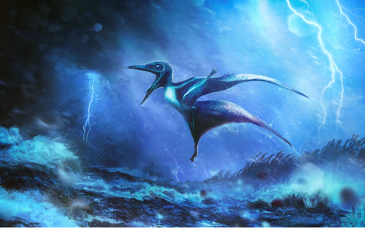 Fossils tell story of baby flying reptiles doomed by tropical storms