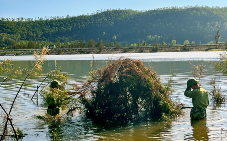 Thousands of migratory bird traps destroyed in north-central Vietnam