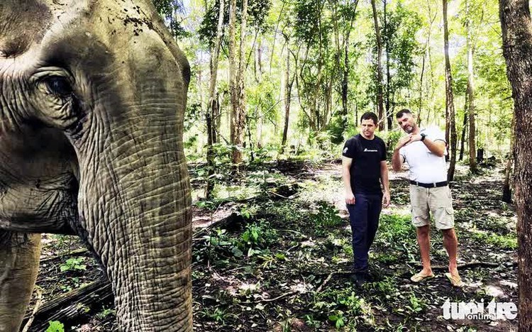 This British man devotes his life to elephants in Vietnam’s Dak Lak