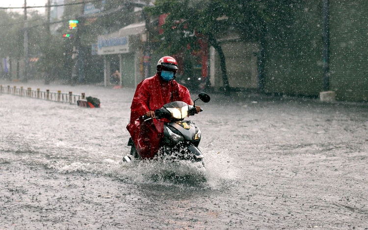 Storm Bualoi expected to bring downpour to Ho Chi Minh City in 2 days
