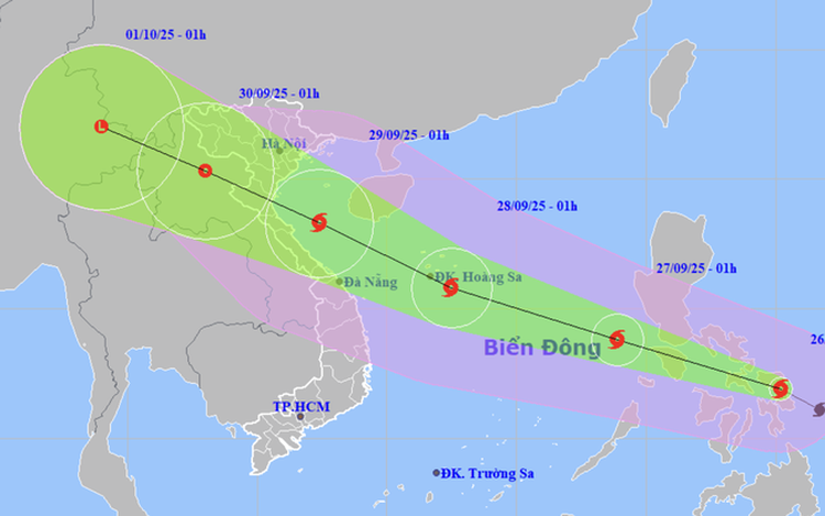 Storm Bualoi forecast to enter East Vietnam Sea tonight, head toward central region