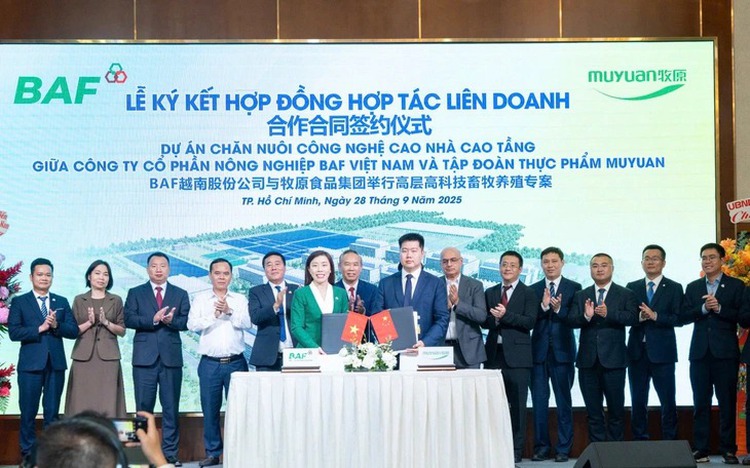 Vietnam, China firms team up for first high-rise pig farm in Tay Ninh