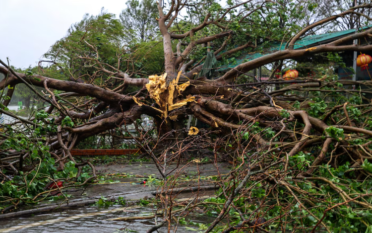Two dead and 17 missing as Typhoon Bualoi hits Vietnam
