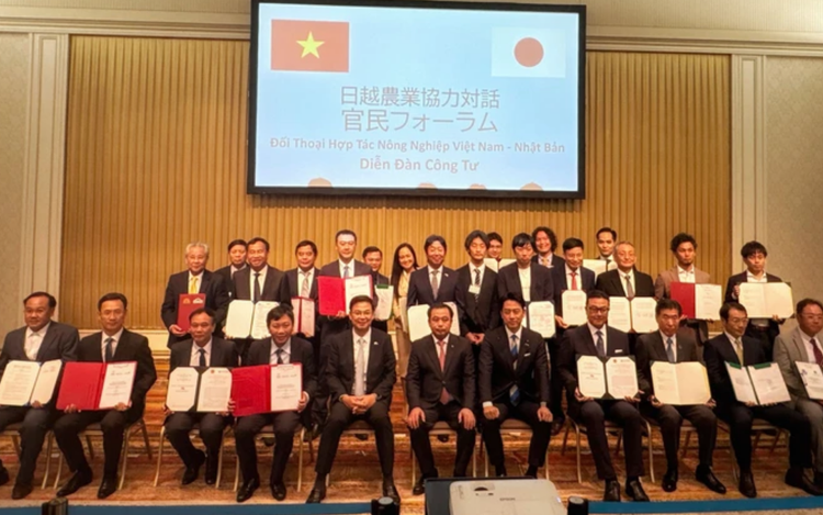 Vietnam, Japan cut 10 deals to boost agricultural cooperation