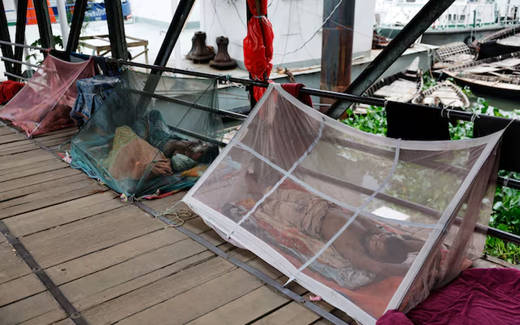 Bangladesh battles rising tide of dengue and chikungunya