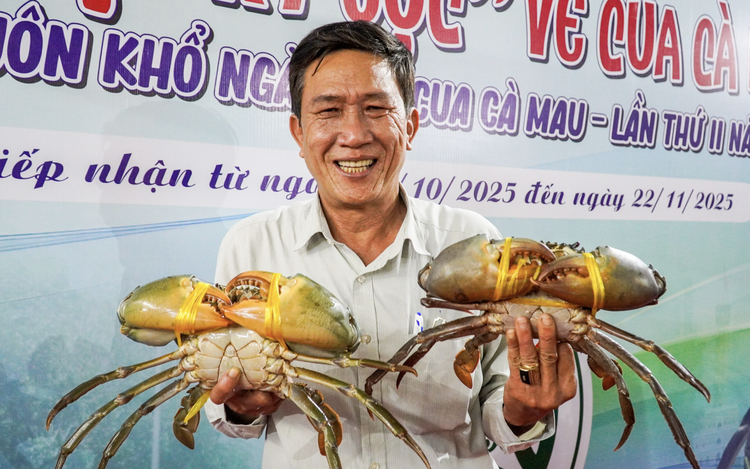 Vietnam’s Ca Mau to spend almost $343,000 on crab genetic conservation, development
