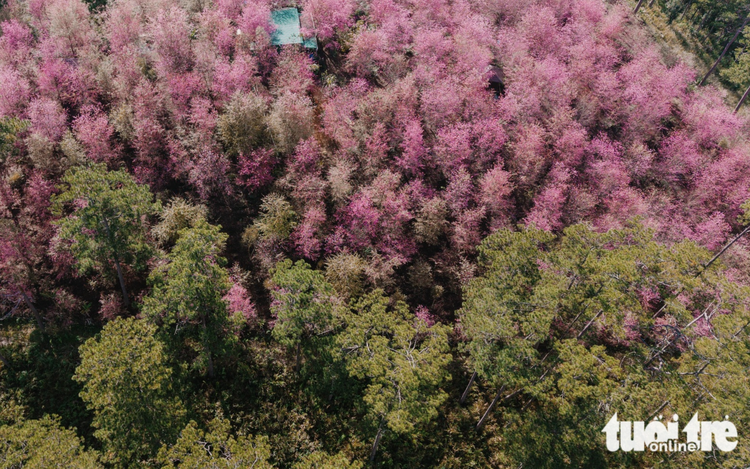 Breakfast @ Tuoi Tre News - January 18
