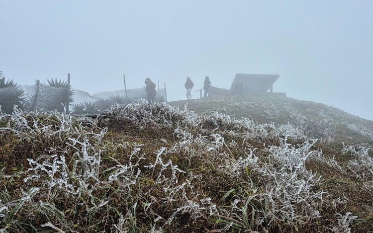 Frost blankets Vietnam’s Mau Son peak as temperatures fall to minus 0.1 degree Celsius
