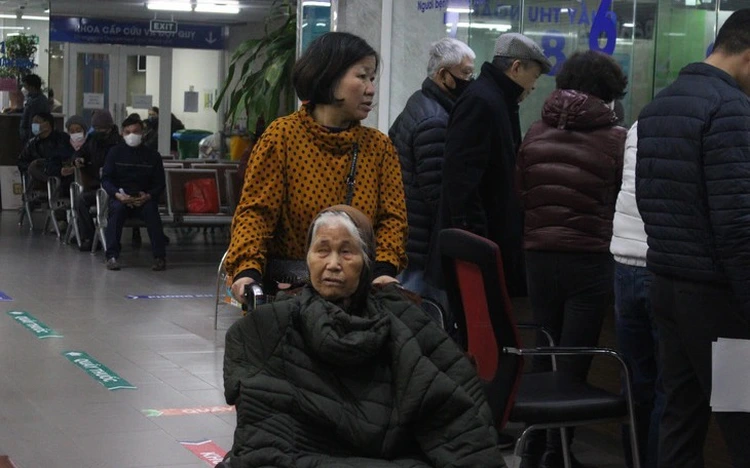Vietnam projected to enter aging society within next decade