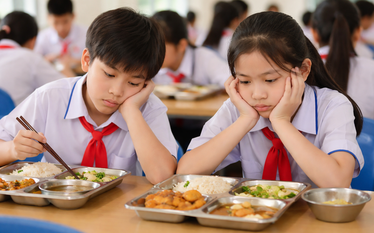 Ho Chi Minh City launches comprehensive review of school meals over safety concerns