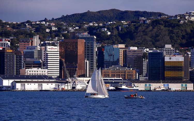 New Zealand launches review of medical portal hack