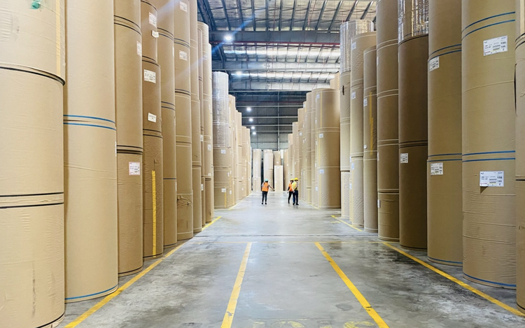 Vina Kraft makes its mark as pioneer in green manufacturing
