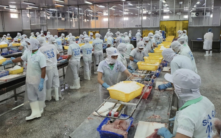Firms in Vietnam’s Can Tho look to labor imports to fill gaps