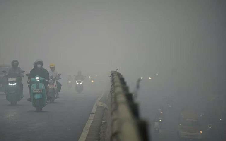 Indonesia blames peatland degradation for raging fires, vows restoration