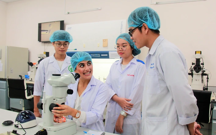Vietnam sets sights on ASEAN’s top 3 in global talent competitiveness