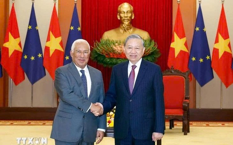 EU ambassador invokes Vietnamese proverb to highlight strength of Vietnam-EU ties