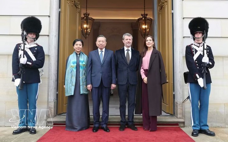 Top Vietnamese leader concludes state visit to Denmark