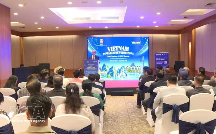 Vietnam courts Indian tourists as direct flights set to double