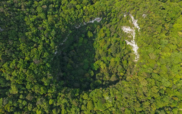 120-meter-deep, 2-hectare-wide sinkhole in Vietnam’s Phong Nha - Ke Bang publicly announced