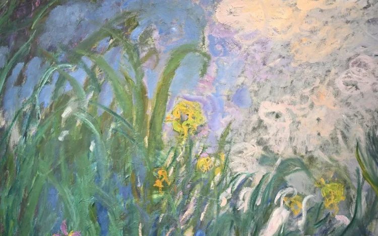 Monet's 'Iris' fetches 50 mn euros at Paris auction