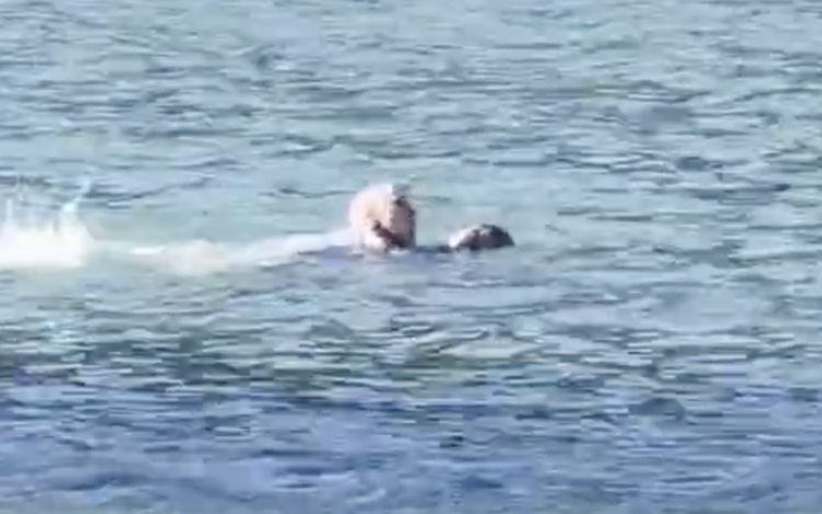 American swims into Vietnam’s Da Lat lake to rescue drowning woman