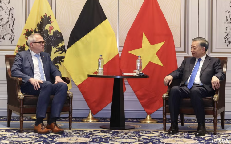 Belgium’s Flanders and Wallonia ready to expand cooperation with Vietnam