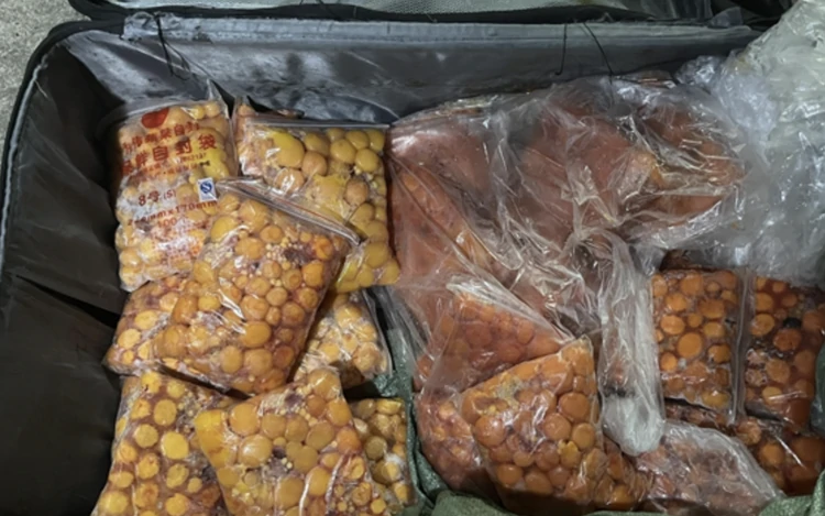 Vietnam's border guards bust smuggling ring moving tonnes of unsafe food