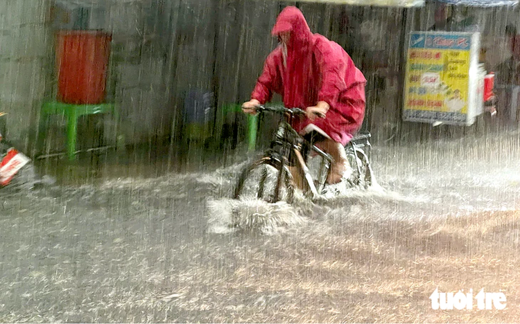 Ho Chi Minh City school principals allowed to switch classes online in case of flooding