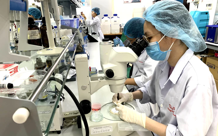 University teaching assistants in Vietnam required to have AI, foreign-language skills