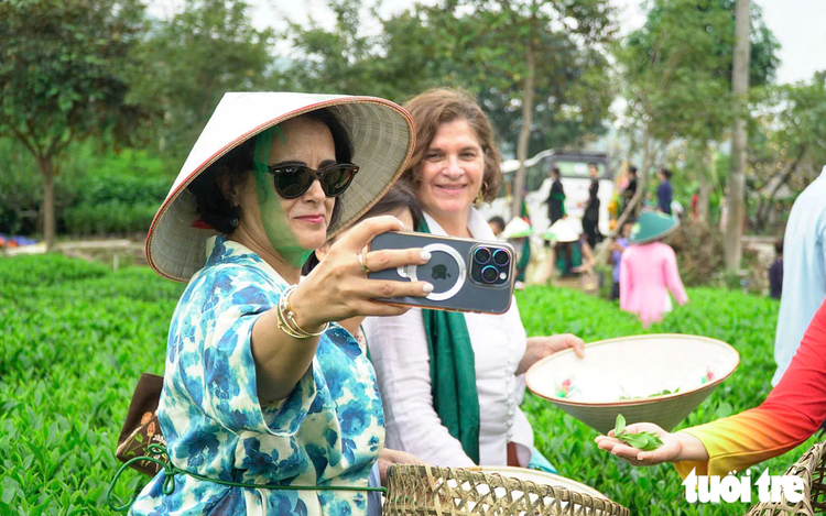 Foreign ambassadors explore Vietnam’s tea culture