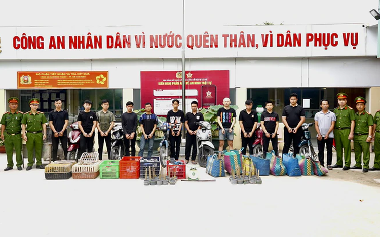 12 prosecuted, detained for allegedly stealing 2,700 cats in Ho Chi Minh City