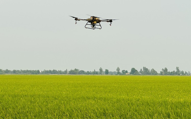 6,000 drones deployed in agriculture across Mekong Delta farmlands in Vietnam