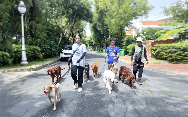 Dog walking emerges as profitable line of work in Ho Chi Minh City