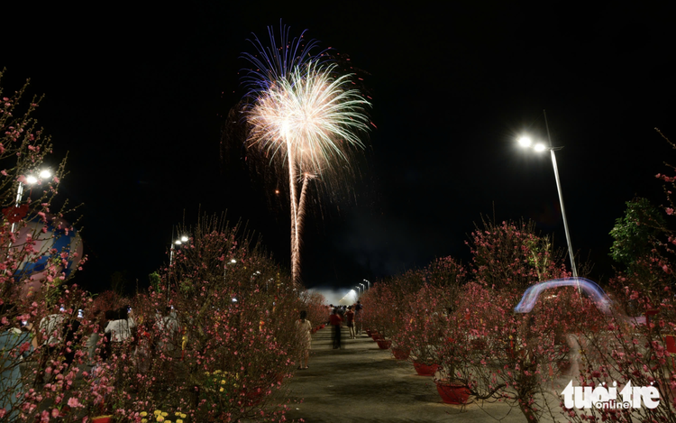 Fireworks light up Vinhomes Green Paradise Can Gio in Ho Chi Minh City to open spring fest
