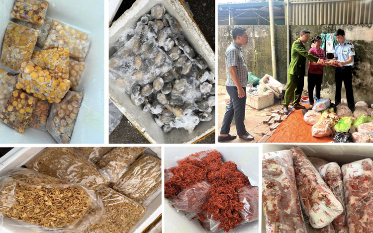 4 tonnes of untraceable food seized in north-central Vietnam