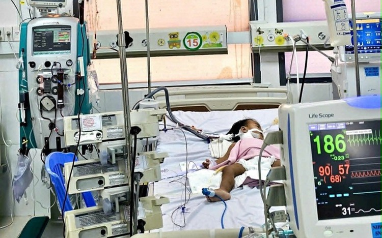 Delayed transfers, healthcare gaps, EV71 drive rise in child HFMD deaths in southern Vietnam