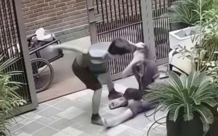 Video of husband assaulting wife draws public anger in Vietnam