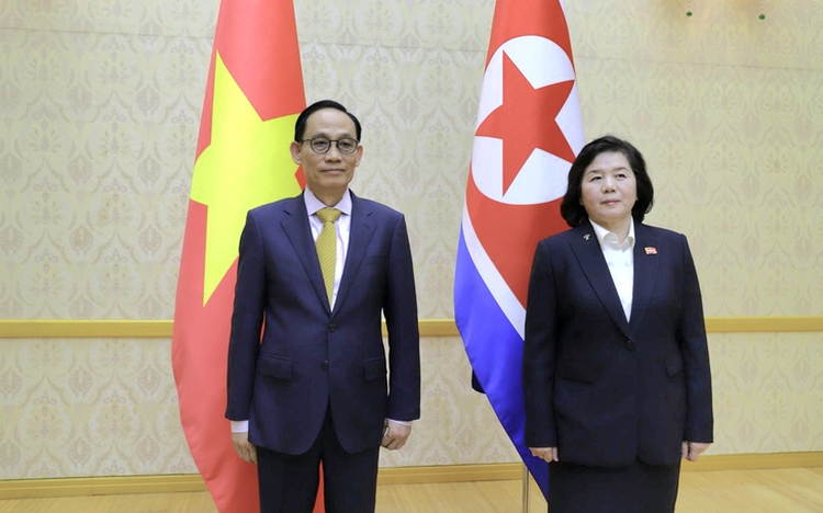 Vietnam seeks to further deepen practical, effective ties with North Korea: special envoy