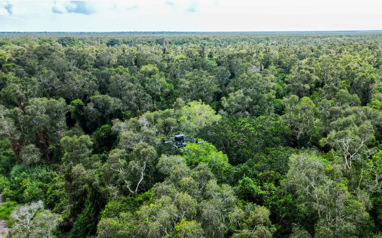 Vietnam’s Ca Mau uses thermal drones, smart cameras to prevent forest fires