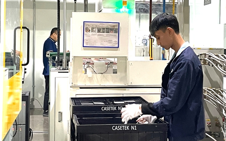 Over 81% of household businesses in Vietnam report revenue decline in 2025