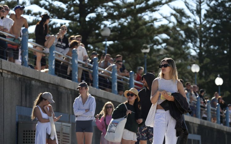 Sydney reopens beach under heavy patrols after shark attack