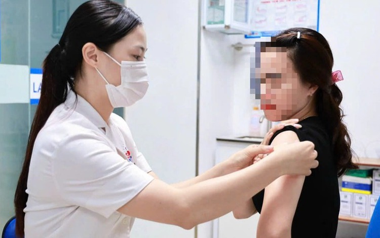 Doctors issue warning as Hanoi records first Japanese encephalitis case this year