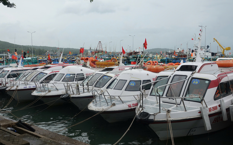 Vietnam’s Mekong Delta tourism association head highlights safety gaps after deadly speedboat capsizing