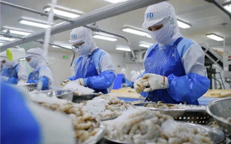 Asia powers Vietnam’s shrimp boom, leaving the West behind