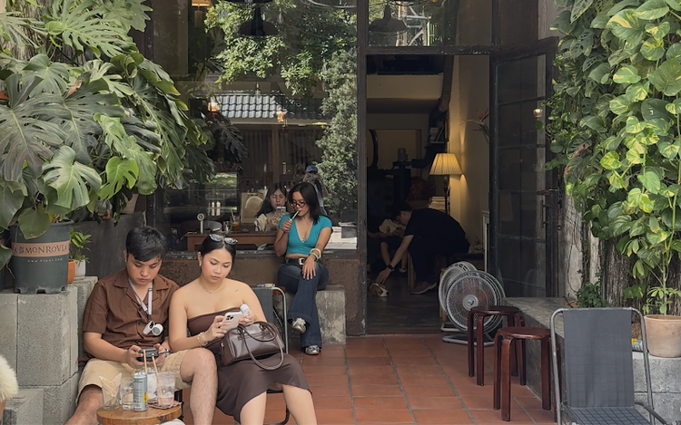 No ocean view, no problem: Da Nang café wins over tourists with very fat cat