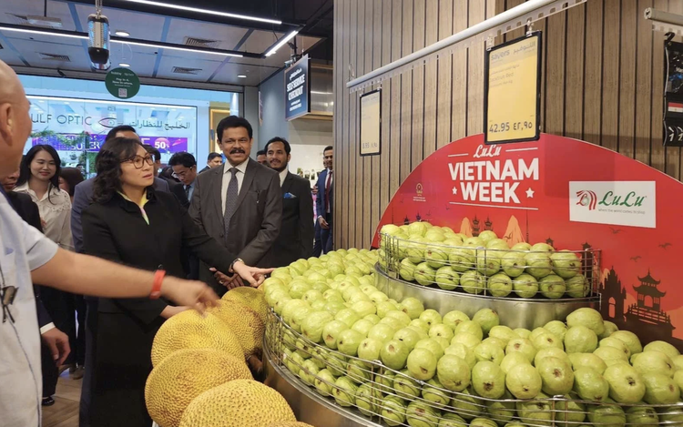 Global retailers eye Vietnamese suppliers for private-label expansion
