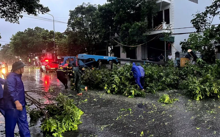 Storm Maysak wreaks havoc on Vietnam’s Mong Cai