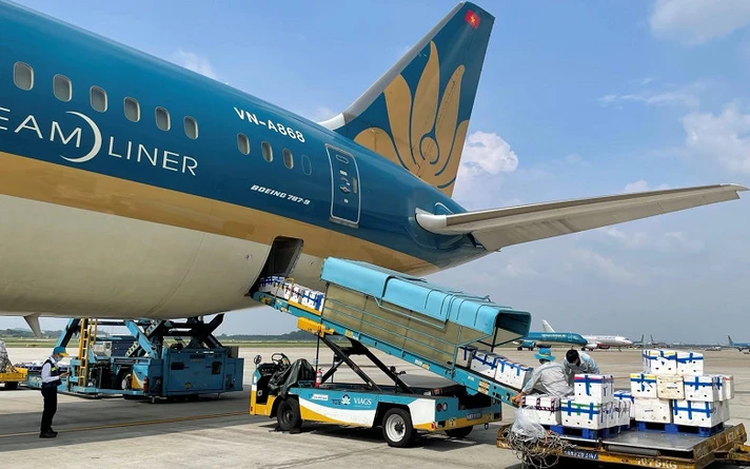 Vietnamese airlines ramp up investments in dedicated cargo fleets