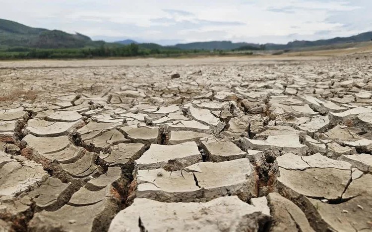Irrigation reservoirs in Vietnam's Quang Ngai run dry amid prolonged heat