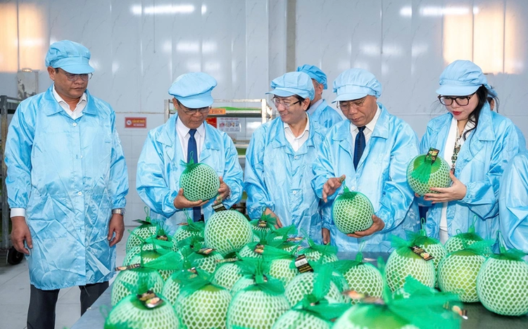 Vietnam’s exports to Australia gain momentum toward $20bn trade target